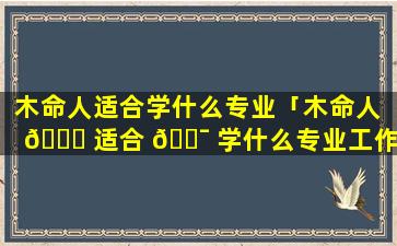 木命人适合学什么专业「木命人 🐘 适合 🐯 学什么专业工作」